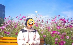 女体调教人 qvod